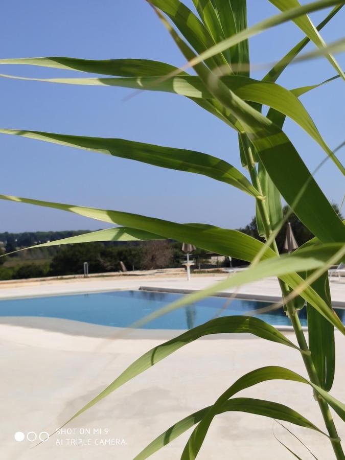 La Trottoria Agriturismo โอตรันโต ภายนอก รูปภาพ