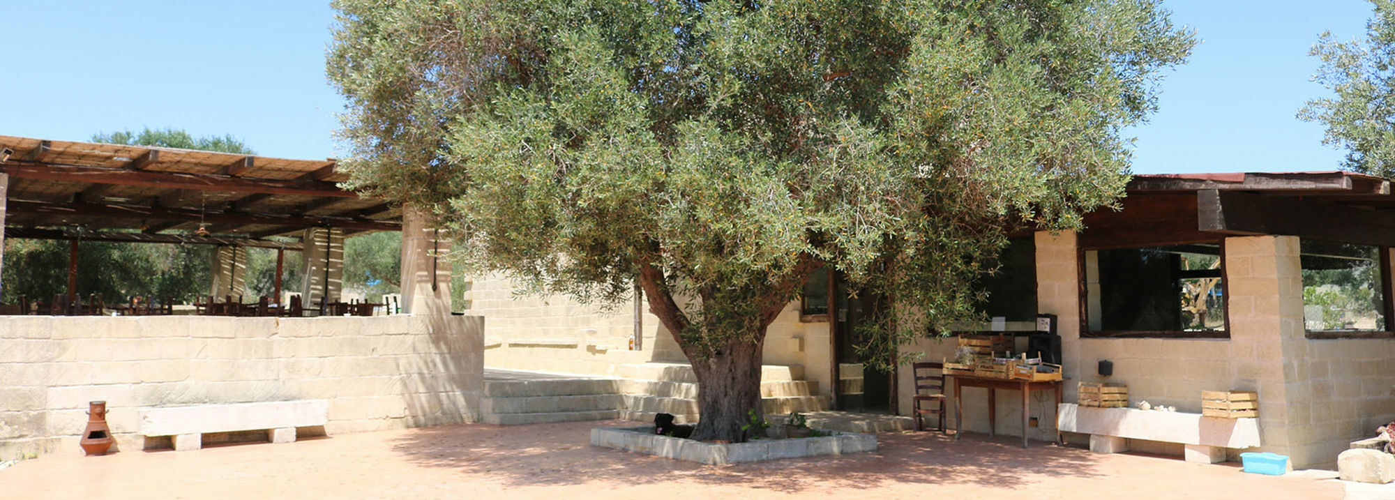 La Trottoria Agriturismo โอตรันโต ภายนอก รูปภาพ